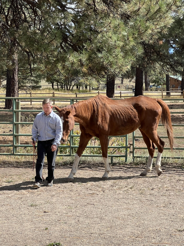 2023-gallery of fun2