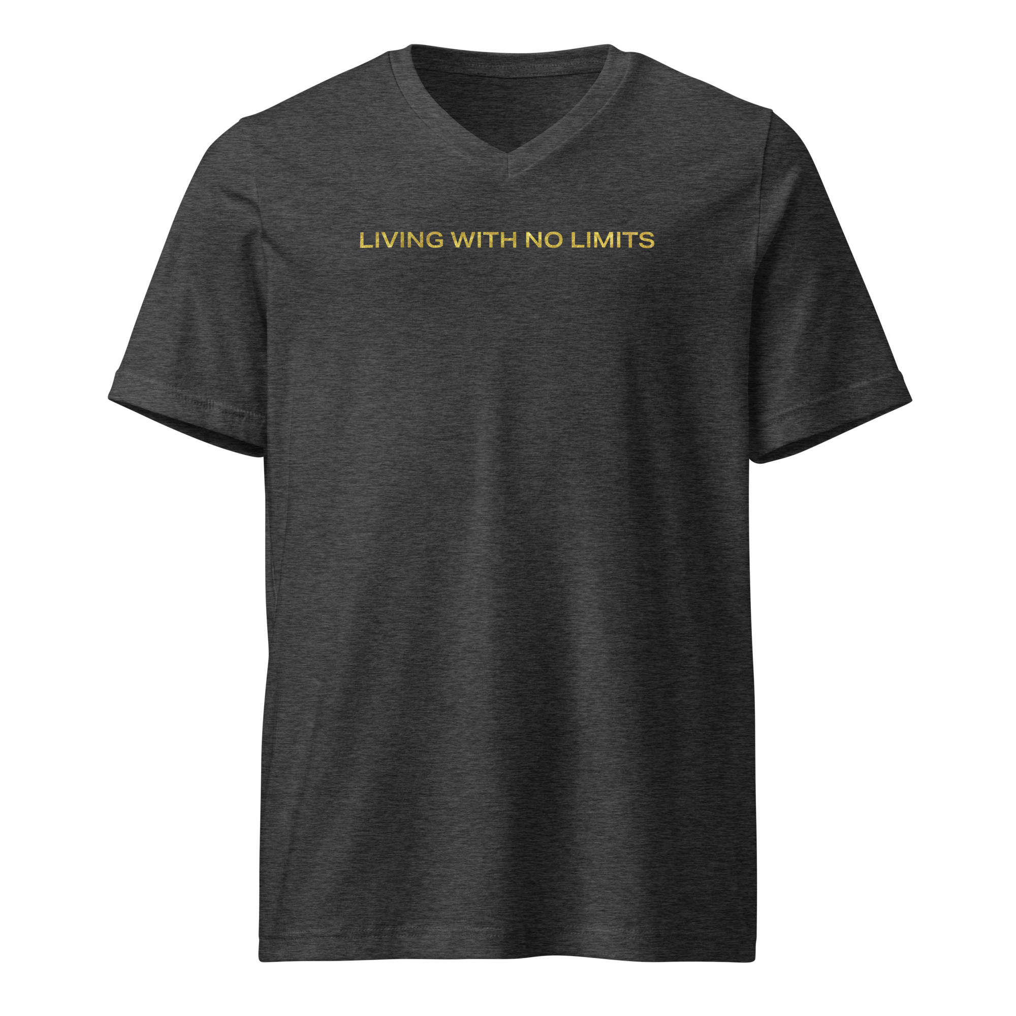 Living With No Limits - GOLD - Image 3